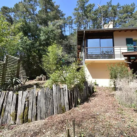 Villa Belettes - Location - Superbe Avec Piscine Hors Sol - Hossegor